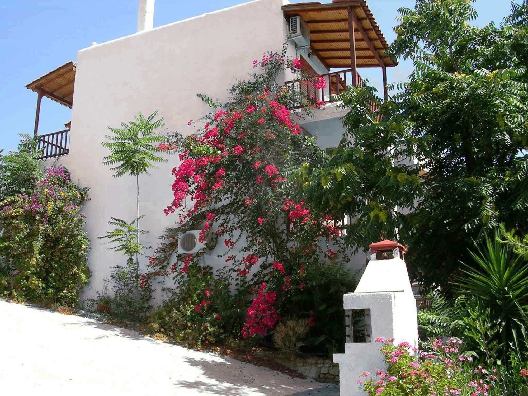123 Soleil Studios Agia Marina  외부 사진